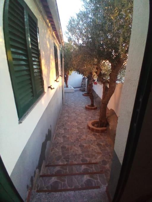 Apartment Casa Vinte *